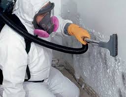 Best Residential Mold Inspection & Testing  in Largo, FL